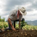 Barinas al Primer Encuentro de Integración Nacional Campesina