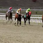 Princesa Fina y El Relámpago ganaron las clásicas en La Rinconada.