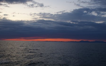 It is a long established fact that a reader will be distracted