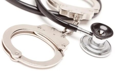 Falso veterinario mató a una mascota: preso