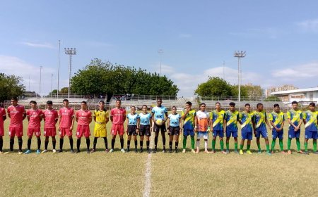 Este Domingo seis finales de la Liga Nacional de Fútbol Campo Masculino
