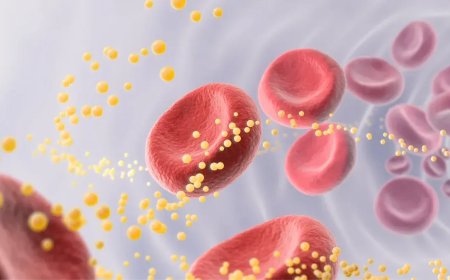 Los alimentos que más bajan el colesterol