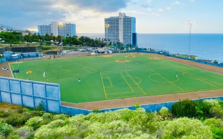 Pitcher de Barinas jugó con España en su único Clásico Mundial de Béisbol