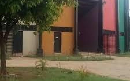 Nacional Máster de Softbol más de 50 años se gestiona para Zulia