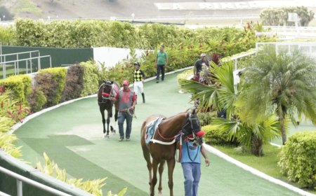 El Pepazo Hípico La Rinconada con José Pirela Espina