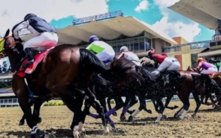 Ramón García, Robert Capriles, Jhonathan Aray y Franklin Puello los destacados