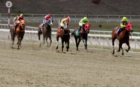 Princesa Fina y El Relámpago ganaron las clásicas en La Rinconada.