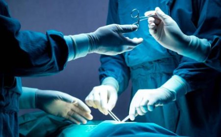 A propósito del Día del Médico: De hábitos, riesgos y pandemias
