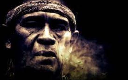 “Guarapito”, un gocho avispao en Caracas