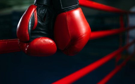 Errores cometidos ponen en peligro de extinción a la AMB, CMB, OMB y FIB.