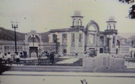 De cómo un Gato Salvaje se tituló ante Pete Martín