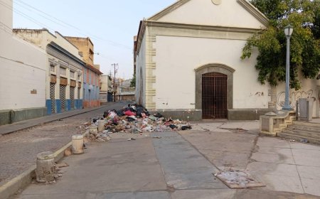 Un champú urgente de cariño necesita la Plaza Baralt