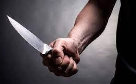 Apuñaló a cuatro sobrinas con un cuchillo de carnicero: uno se salvó