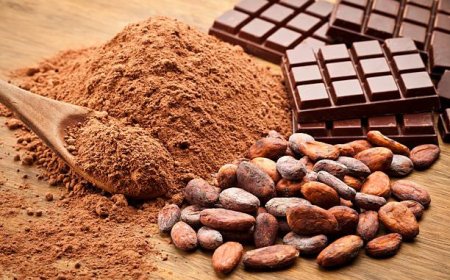 Cacao venezolano deja su huella en concurso ruso