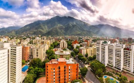 Lo demás es monte y culebra…