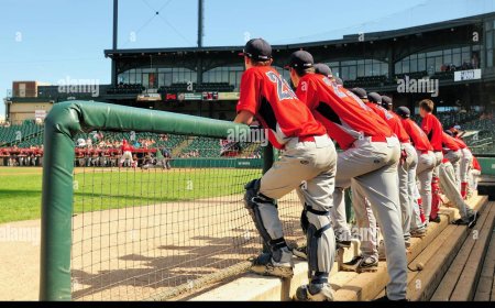 Involucran a nueve venezolanos en tema de dopaje en la MLB