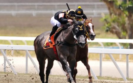 Los Parilli, padre e hijo, lo más destacado en La Rinconada