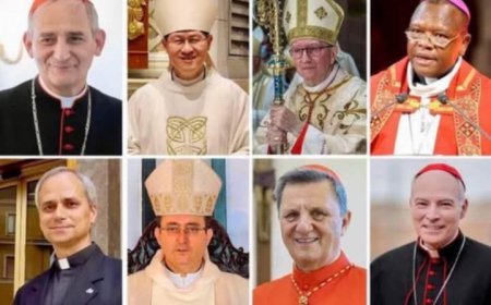 Parolin y otros 7 cardenales pugnan por suceder al papa Francisco