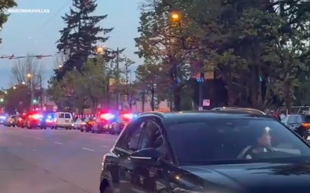Choque masivo deja once fallecidos en Canadá