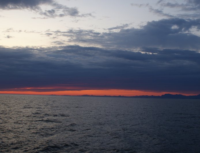 It is a long established fact that a reader will be distracted