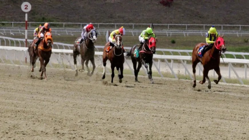 Princesa Fina y El Relámpago ganaron las clásicas en La Rinconada.
