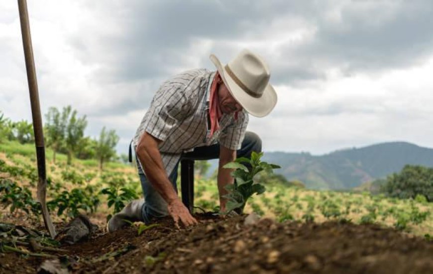 Barinas al Primer Encuentro de Integración Nacional Campesina