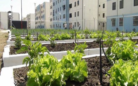 Dos emprendimientos que impulsan el renacer de Venezuela en 2025