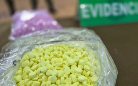 Venezolanos y chilenos atrapados con 33 mil pastillas de metanfetaminas