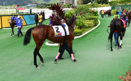 Carlos Uzcátegui  y Jhonathan Aray, yunta ganadora de postín