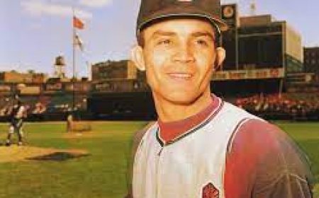Hace 60 años, Vitico fue el primero en batear 300 en la MLB