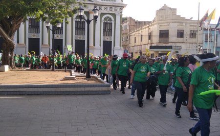 Más de mil abuelos disfrutaron de «La Caminata Edad Dorada»