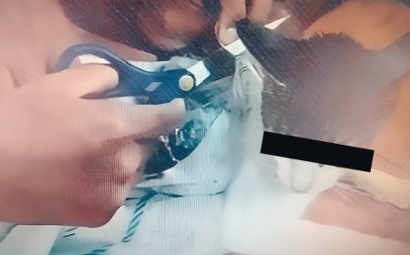 Convierten a un gato en "mula": atrapado introduciendo droga a un penal