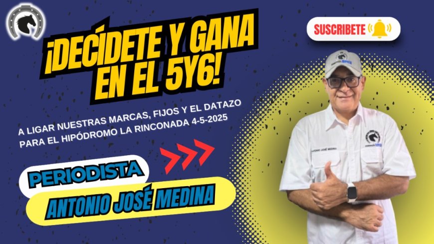 Semana a semana, la gente busca a ConElPepazoGanas y Dimensón Hípica