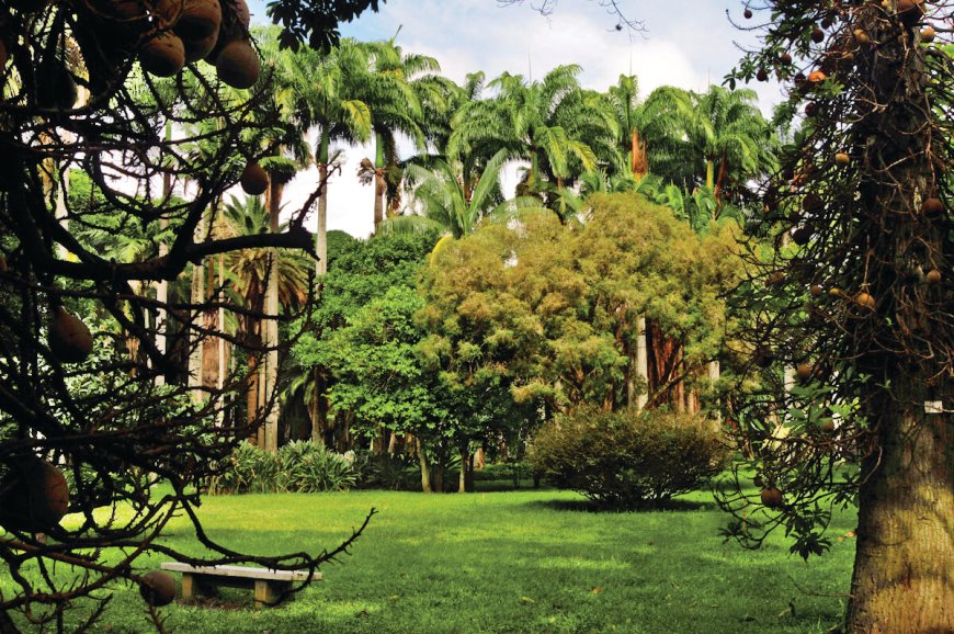 El Jardín Botánico tiene un hermano en Londres