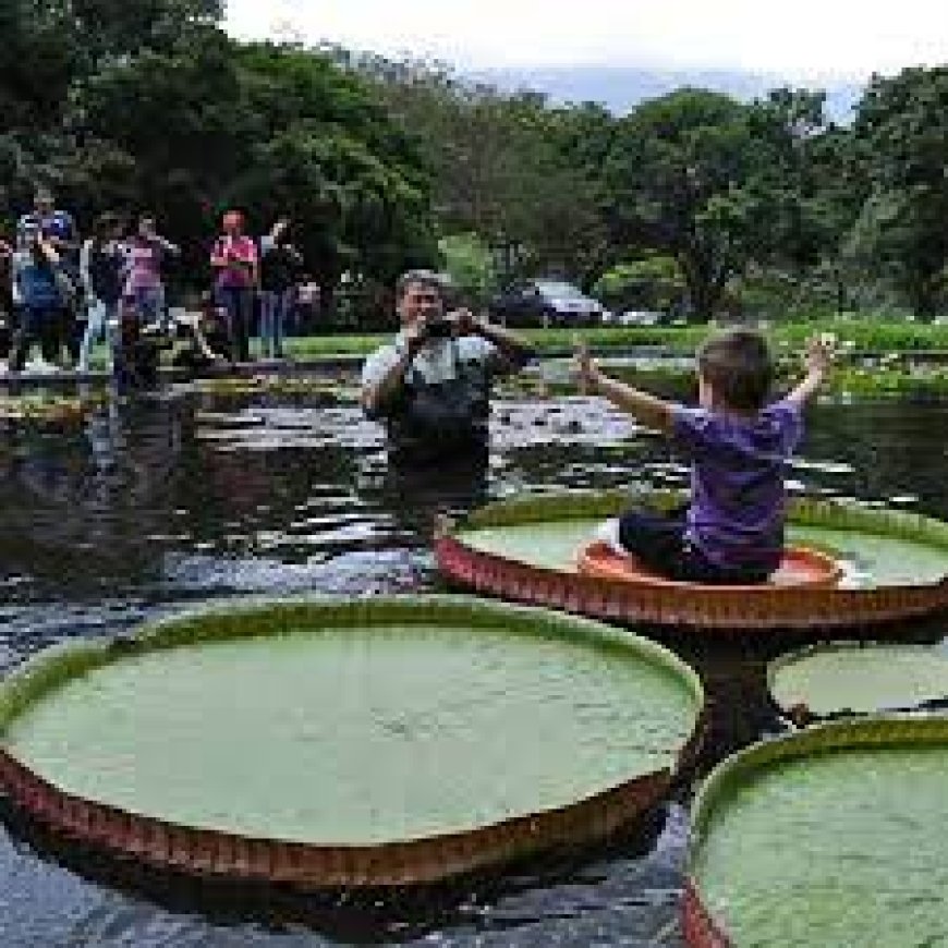 El Jardín Botánico tiene un hermano en Londres