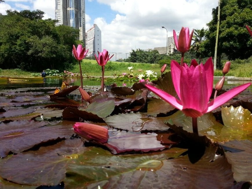 El Jardín Botánico tiene un hermano en Londres
