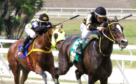Jhonathan Aray y Carlos Uzcátegui destacan en jornada récord
