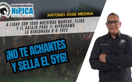 Dimensión Hípica y ConElPepazoGanas, yunta imperdible