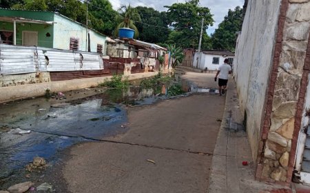 Maracaibo clama a Di Martino la saque de la inmundicia 