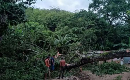 Aisladas por las lluvias comunidades rurales de Miranda