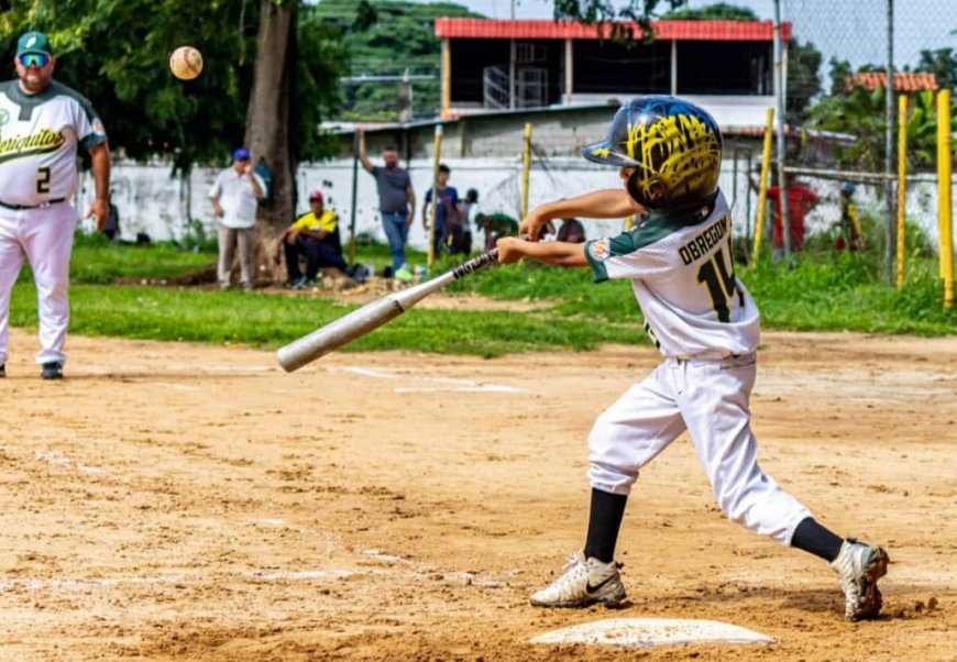Periquitos por Barinas al Nacional de Beisbol Criollitos