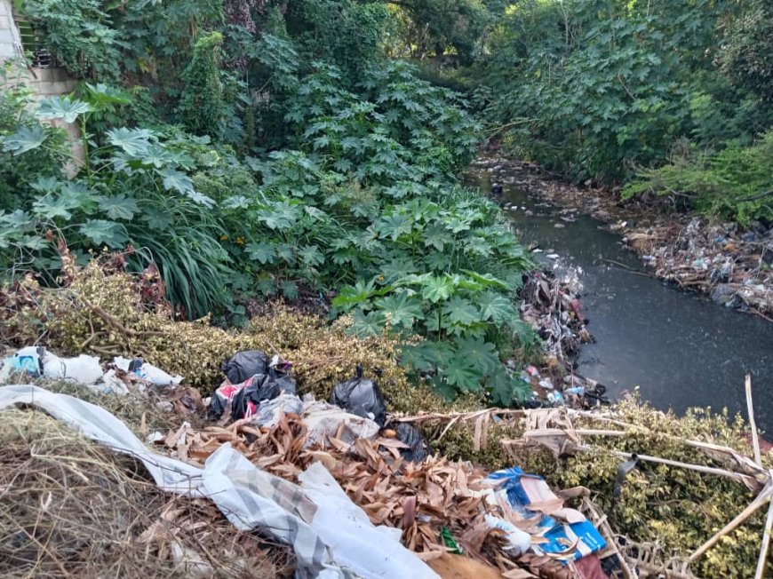 Maracaibo clama a Di Martino la saque de la inmundicia 