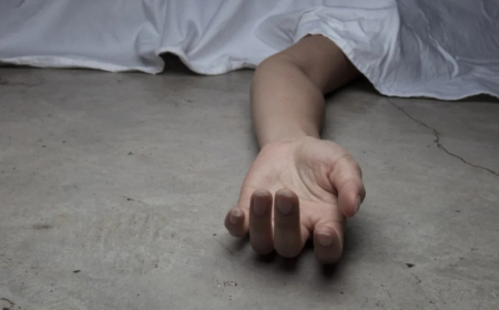 Asesinó a su madre en un ancianato ccn su hijo como cómplice