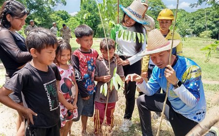 Con la plantación de más de 500 árboles inició reforestación en la Sierra de Perijá