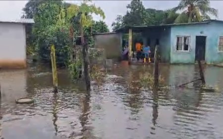 BARINAS: Nutrias sigue bajo las aguas y desborde del caño Masparrito inundó barriadas de Libertad