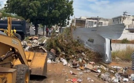 Llegaron los camiones y con 6 mil contenedores y 2 mil salserines atacarán la basura, anuncia Di Martino