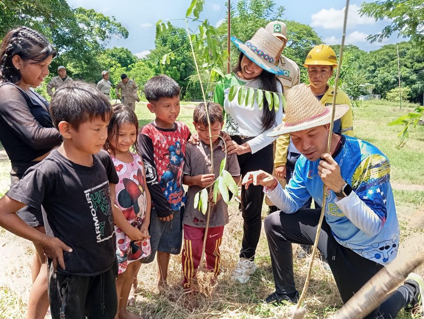 Con la plantación de más de 500 árboles inició reforestación en la Sierra de Perijá