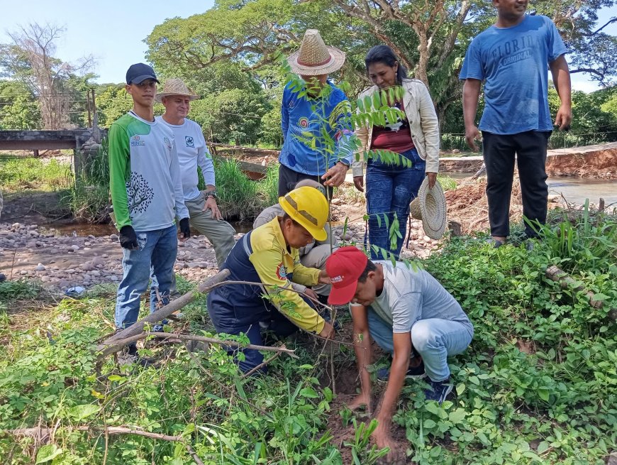 Con la plantación de más de 500 árboles inició reforestación en la Sierra de Perijá