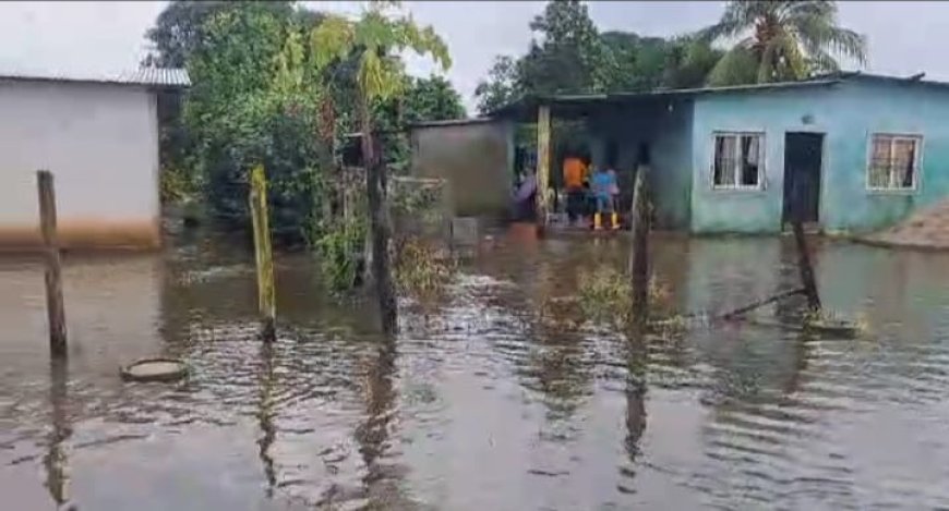BARINAS: Nutrias sigue bajo las aguas y desborde del caño Masparrito inundó barriadas de Libertad