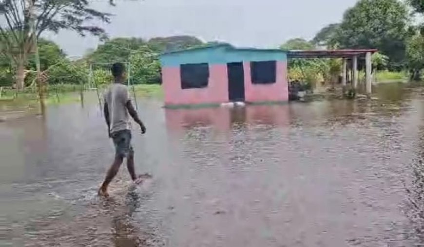 BARINAS: Nutrias sigue bajo las aguas y desborde del caño Masparrito inundó barriadas de Libertad